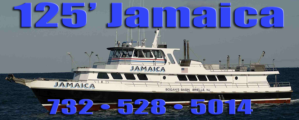 bigjamaicanewhome/JamaicaHeaderWebFinal2.jpg