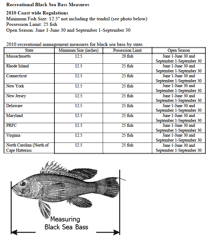 unitedboatmenimages/2010RecSeaBassMeasures.jpg